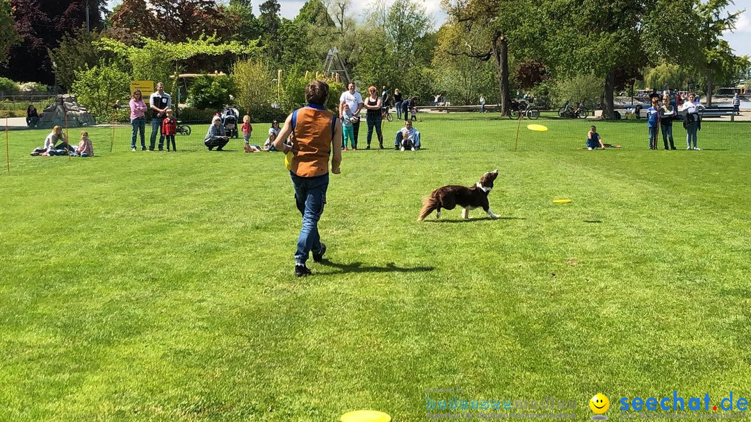 Hundeshow: Rorschach, 19.05.2019