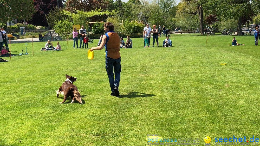 Hundeshow: Rorschach, 19.05.2019