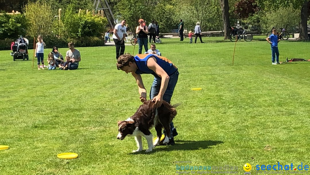 Hundeshow: Rorschach, 19.05.2019