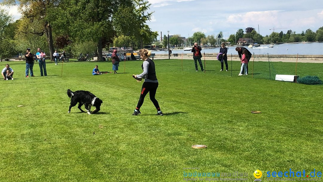 Hundeshow: Rorschach, 19.05.2019