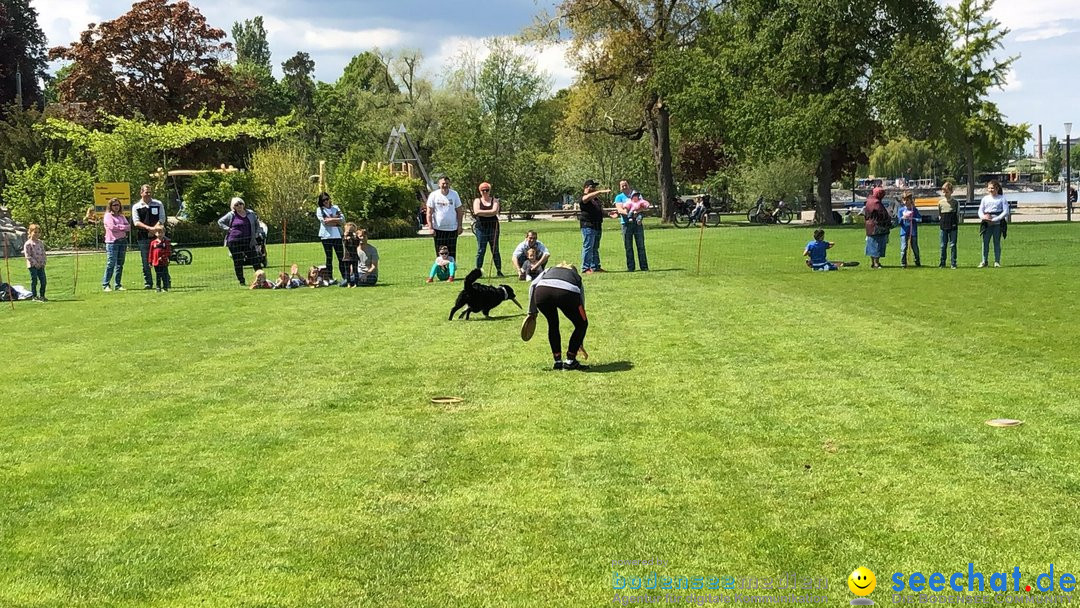 Hundeshow: Rorschach, 19.05.2019