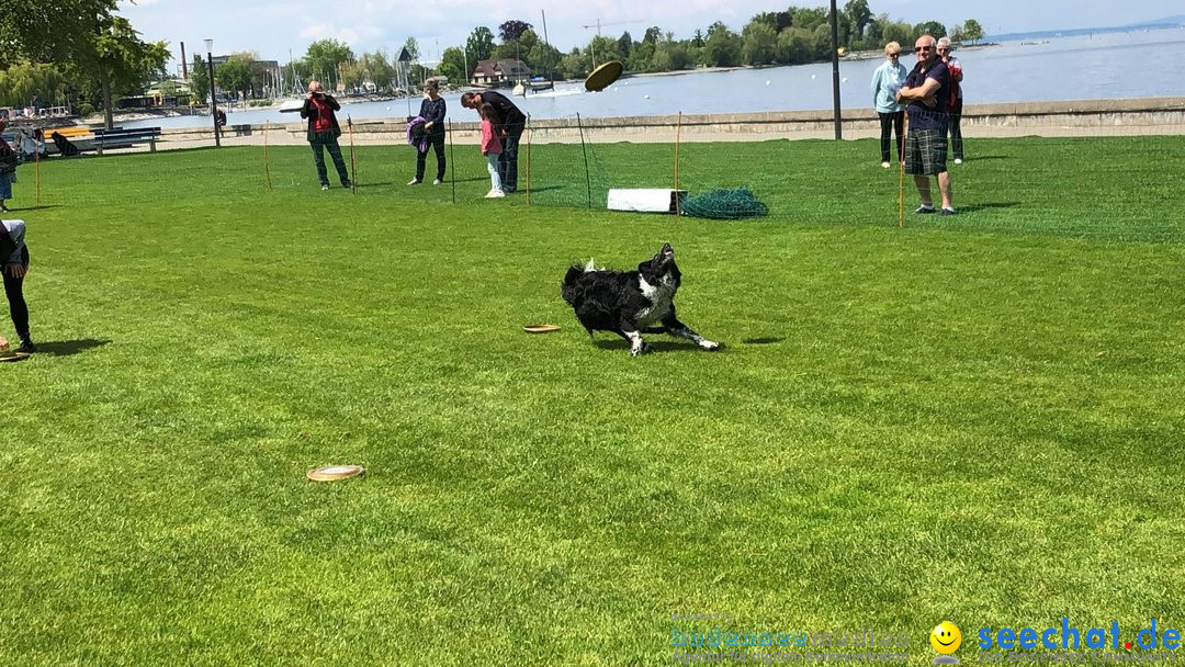 Hundeshow: Rorschach, 19.05.2019