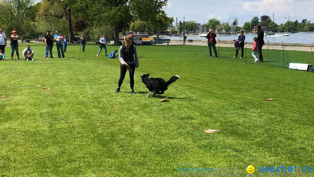 Hundeshow: Rorschach, 19.05.2019