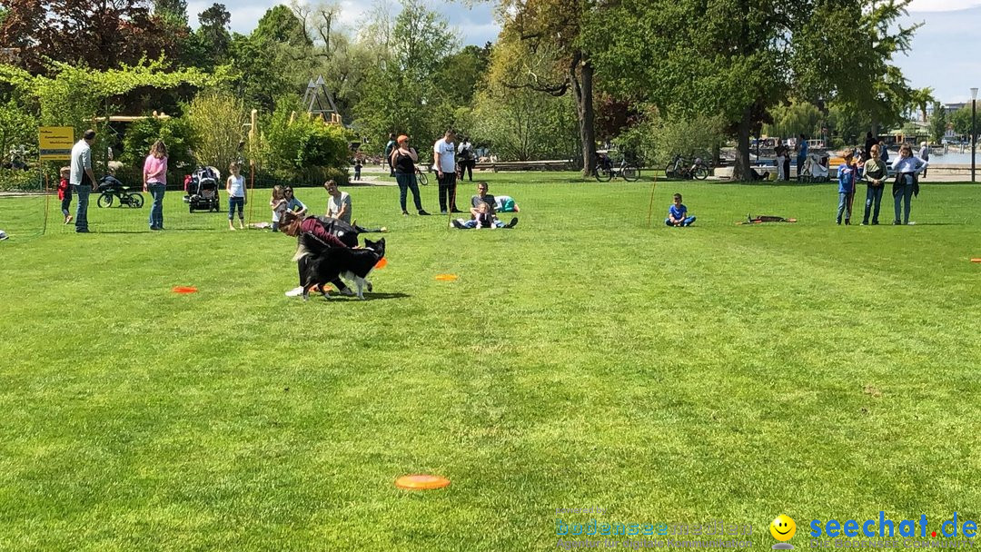 Hundeshow: Rorschach, 19.05.2019