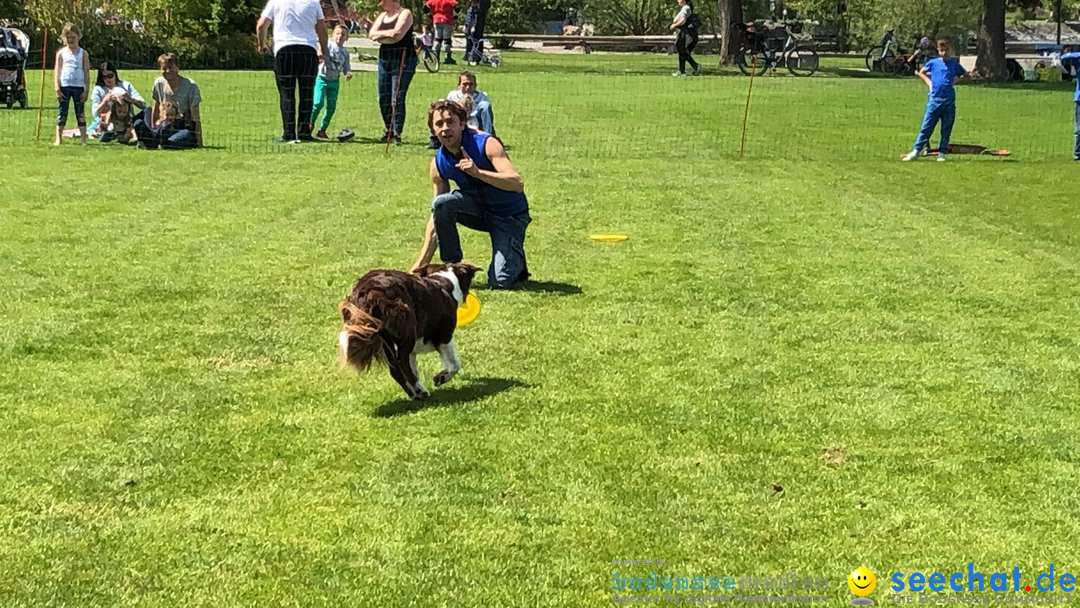 Hundeshow: Rorschach, 19.05.2019