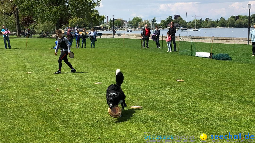 Hundeshow: Rorschach, 19.05.2019