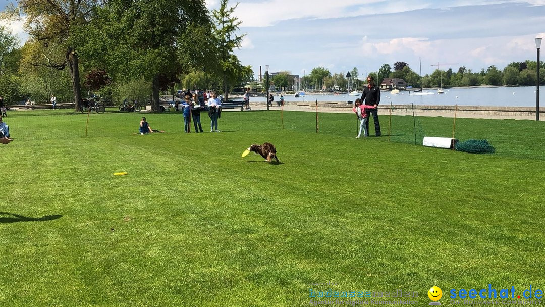 Hundeshow: Rorschach, 19.05.2019