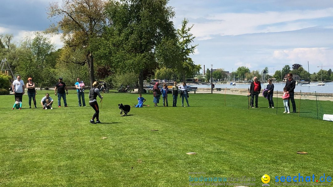 Hundeshow: Rorschach, 19.05.2019