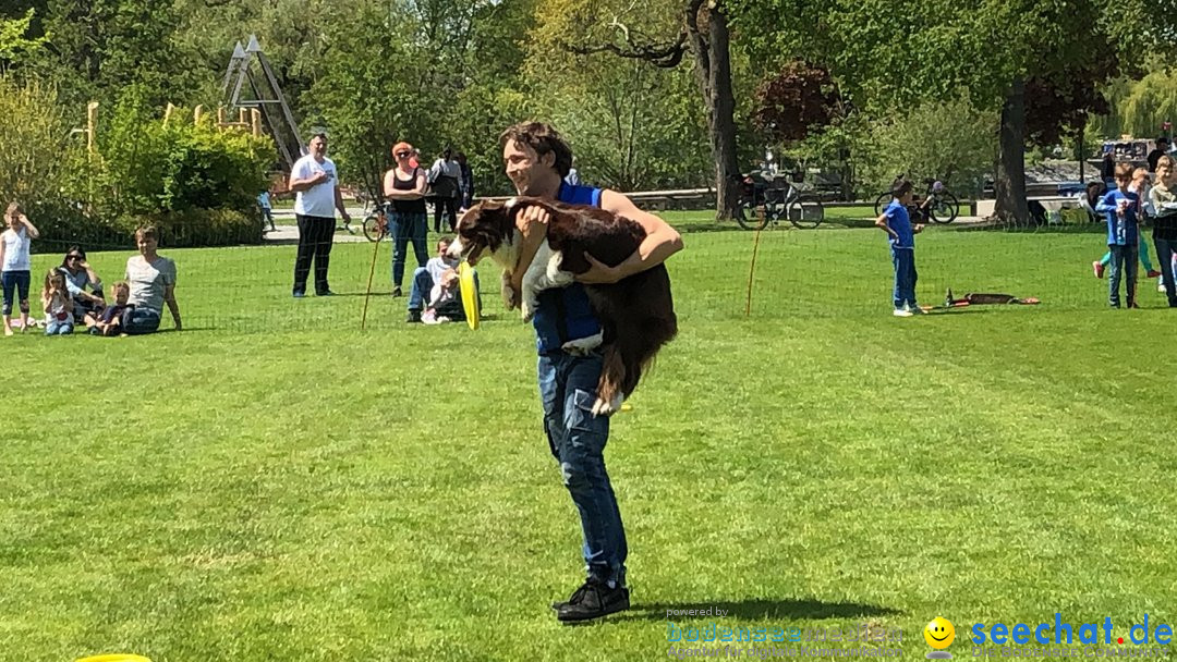 Hundeshow: Rorschach, 19.05.2019