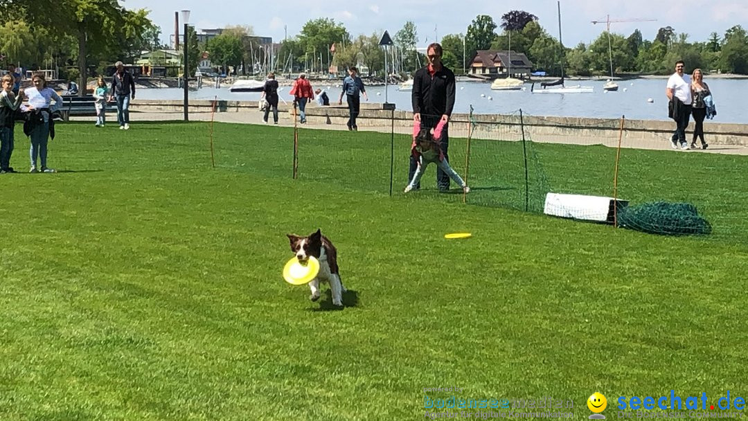 Hundeshow: Rorschach, 19.05.2019