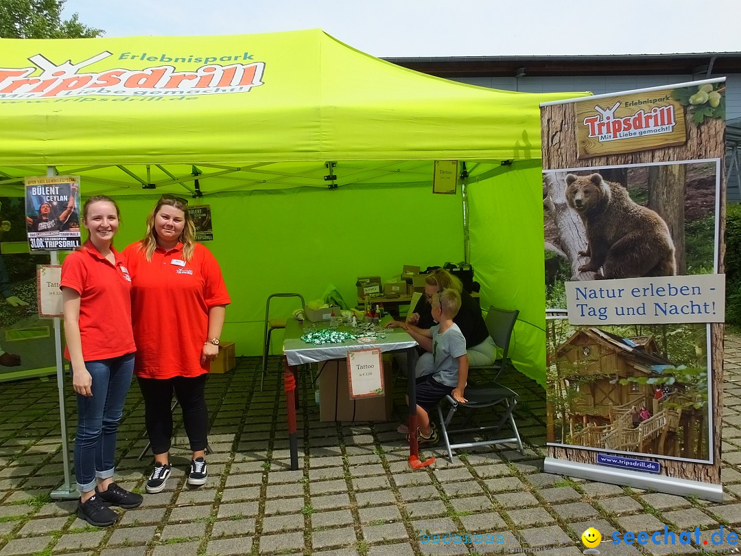 Tag der Bundeswehr: Pfullendorf, 15.06.2019