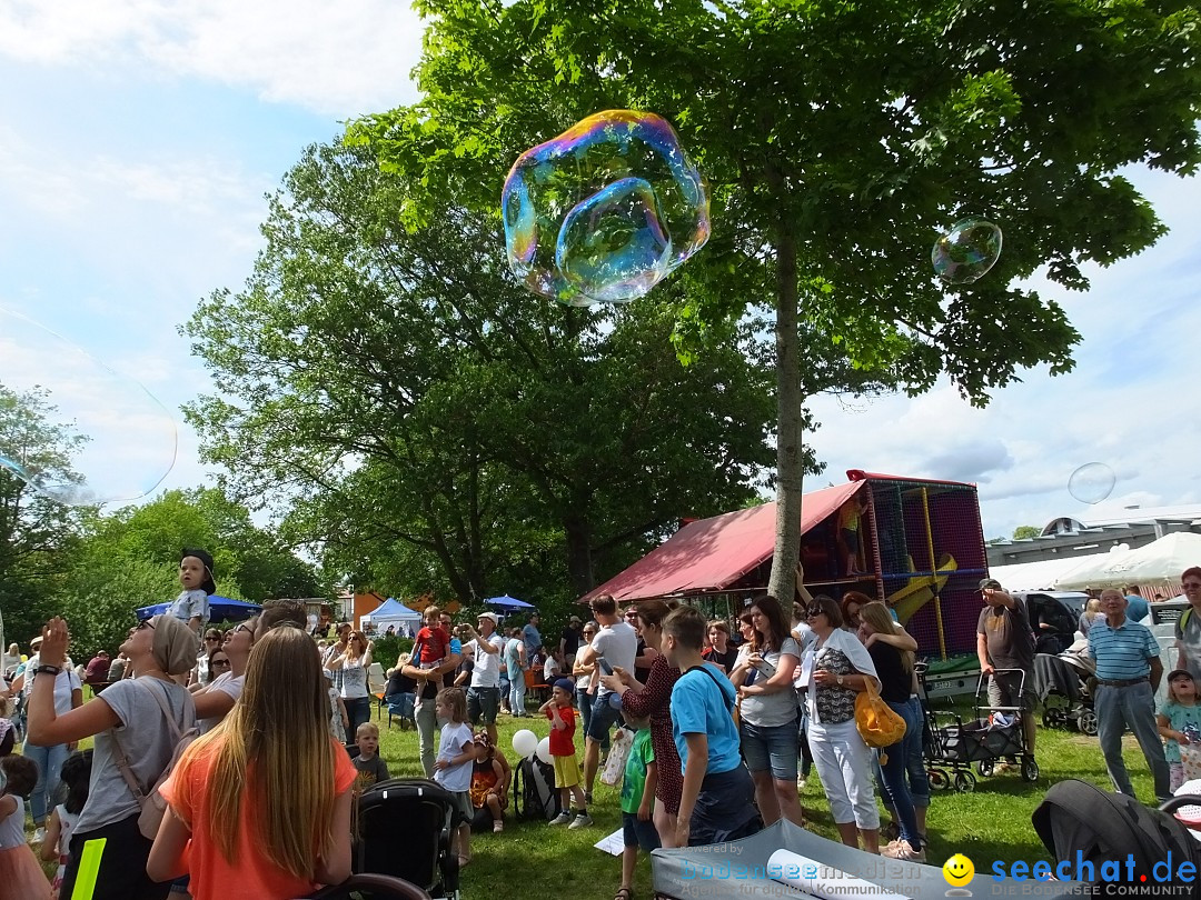 Tag der Bundeswehr: Pfullendorf, 15.06.2019