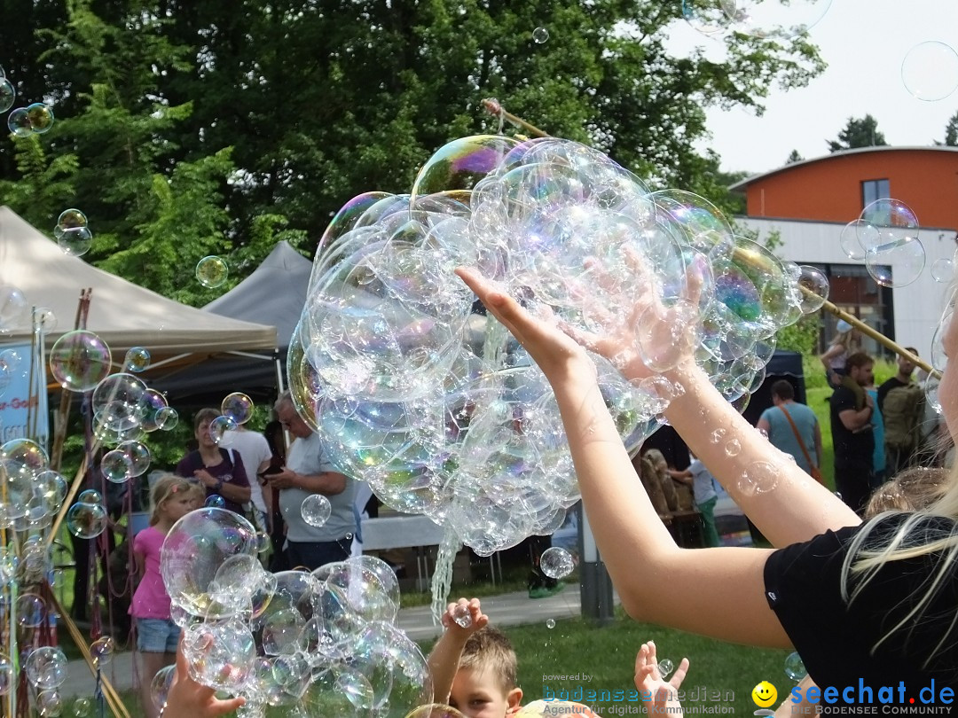 Tag der Bundeswehr: Pfullendorf, 15.06.2019