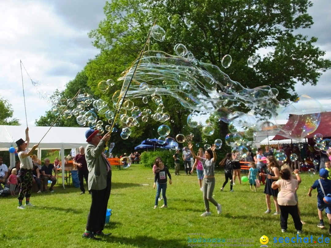 Tag der Bundeswehr: Pfullendorf, 15.06.2019