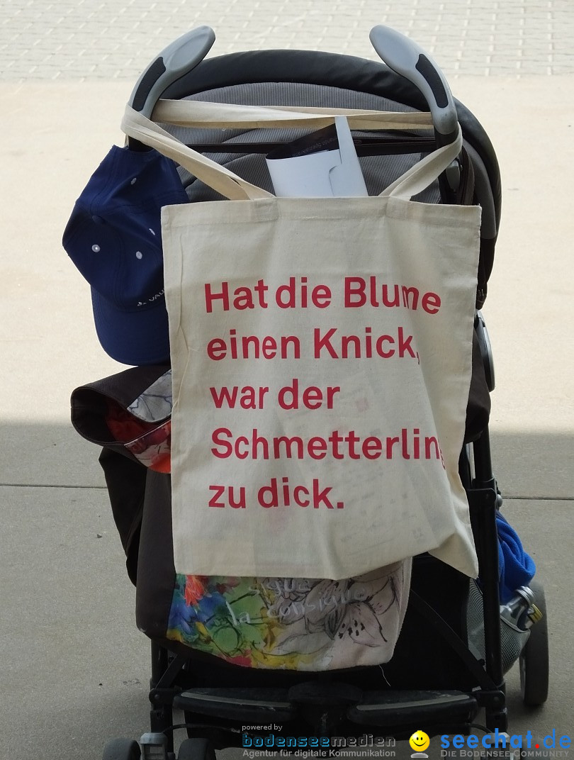 Tag der Bundeswehr: Pfullendorf, 15.06.2019