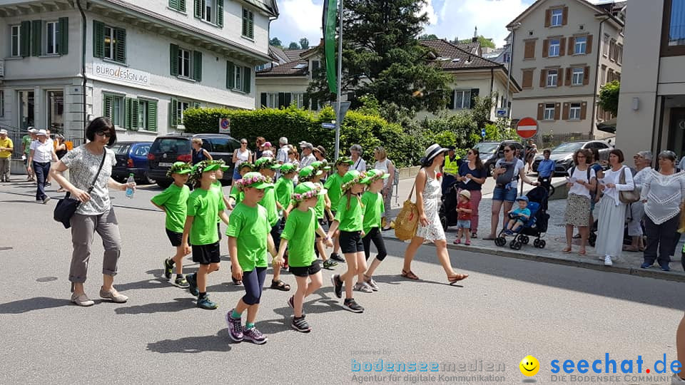 Kinderfest 2019: Herisau, 18.06.2019