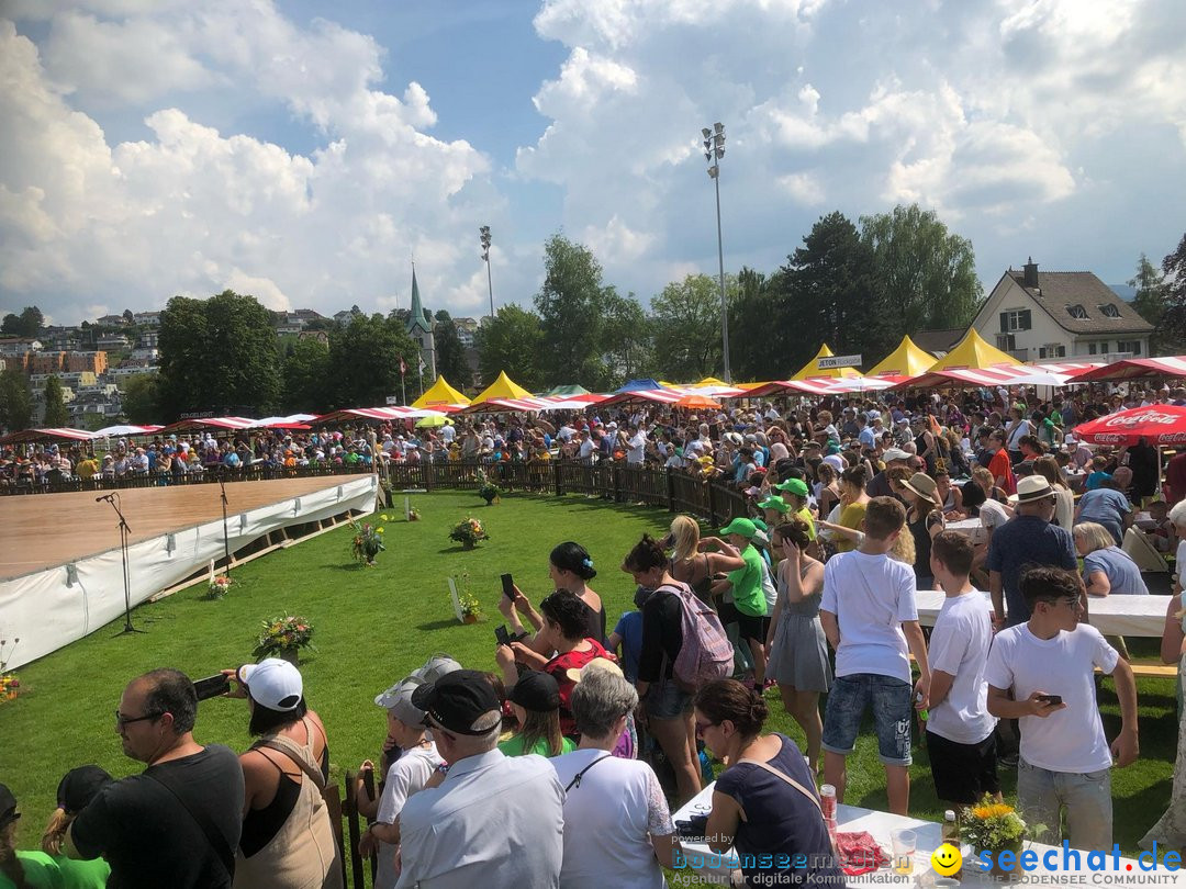 Kinderfest 2019: Herisau, 18.06.2019