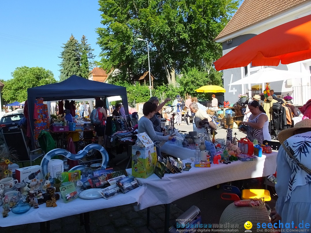 Flohmarkt und Schlossfuerhung: Zwiefaltendorf, 29.06.2019