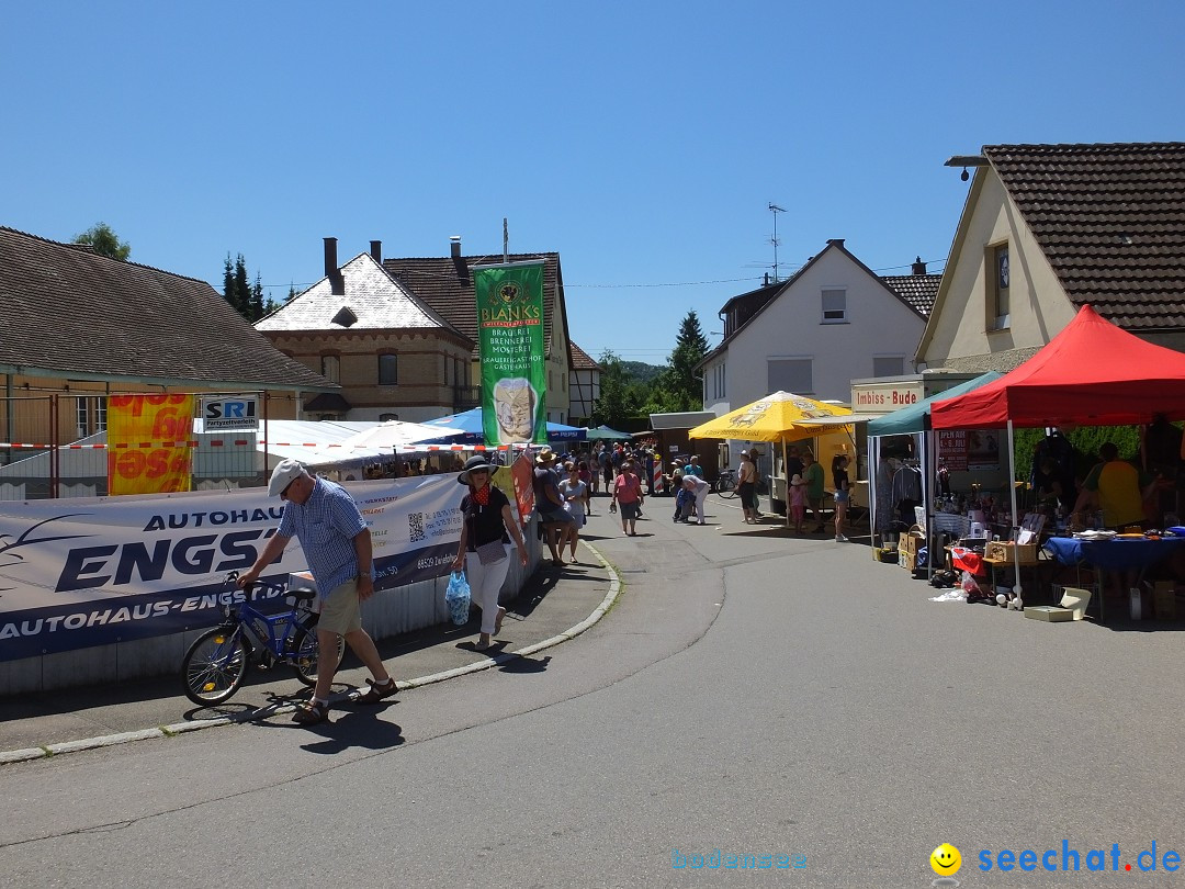 Flohmarkt und Schlossfuerhung: Zwiefaltendorf, 29.06.2019