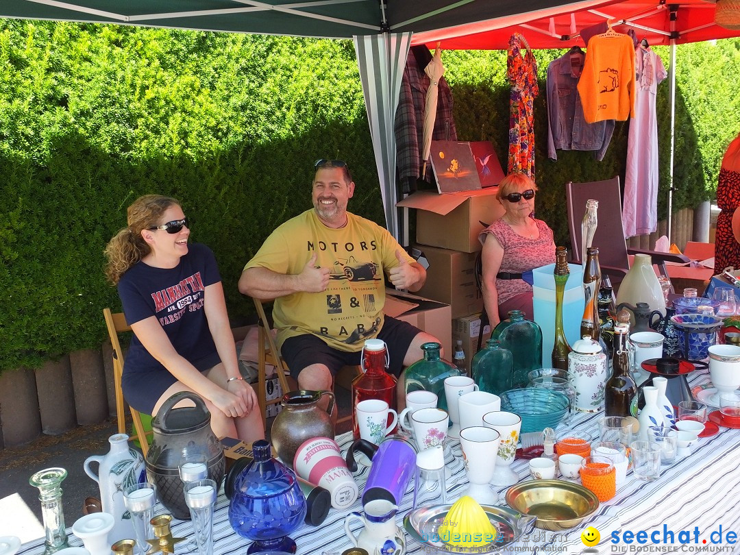 Flohmarkt und Schlossfuerhung: Zwiefaltendorf, 29.06.2019