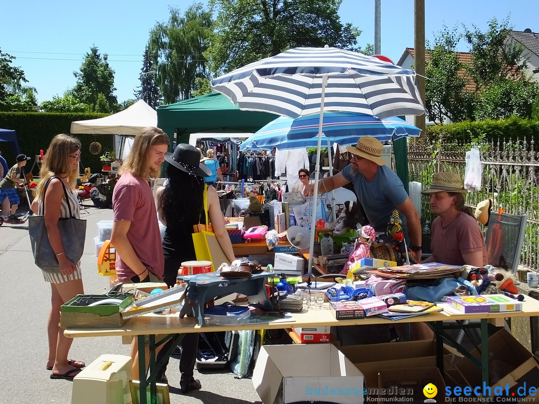 Flohmarkt und Schlossfuerhung: Zwiefaltendorf, 29.06.2019