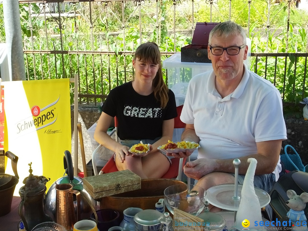 Flohmarkt und Schlossfuerhung: Zwiefaltendorf, 29.06.2019