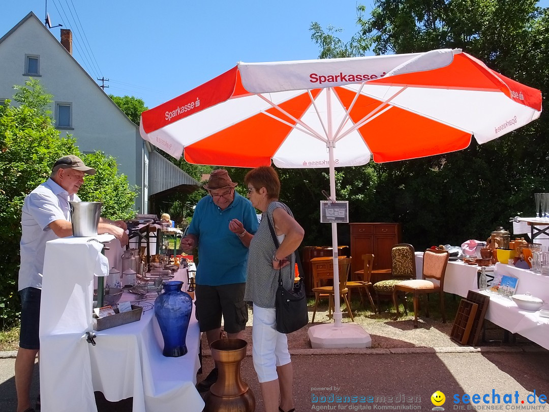 Flohmarkt und Schlossfuerhung: Zwiefaltendorf, 29.06.2019