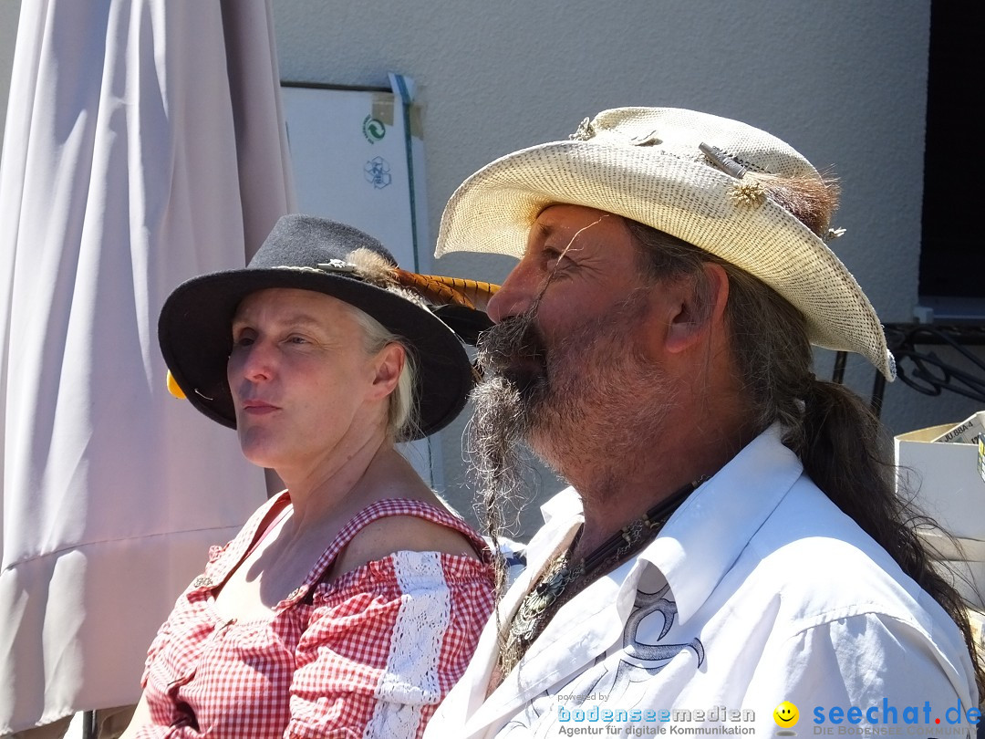 Flohmarkt und Schlossfuerhung: Zwiefaltendorf, 29.06.2019