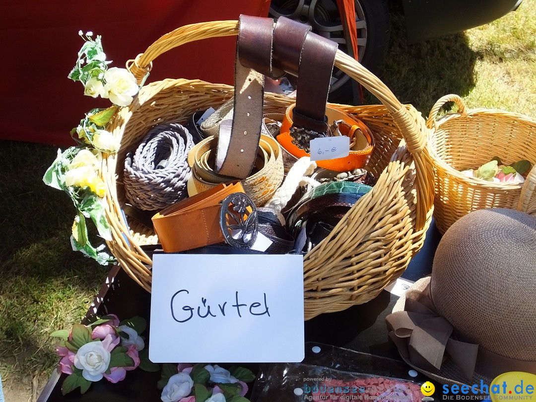 Flohmarkt und Schlossfuerhung: Zwiefaltendorf, 29.06.2019