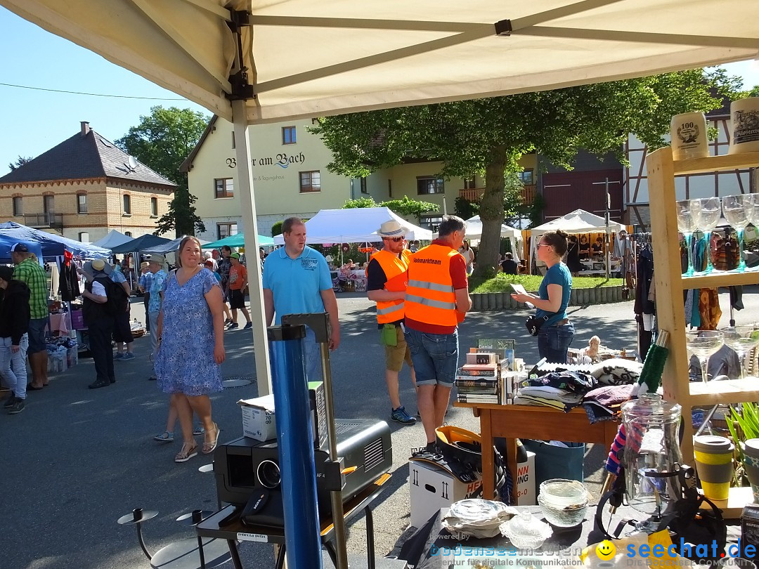 Flohmarkt und Schlossfuerhung: Zwiefaltendorf, 29.06.2019