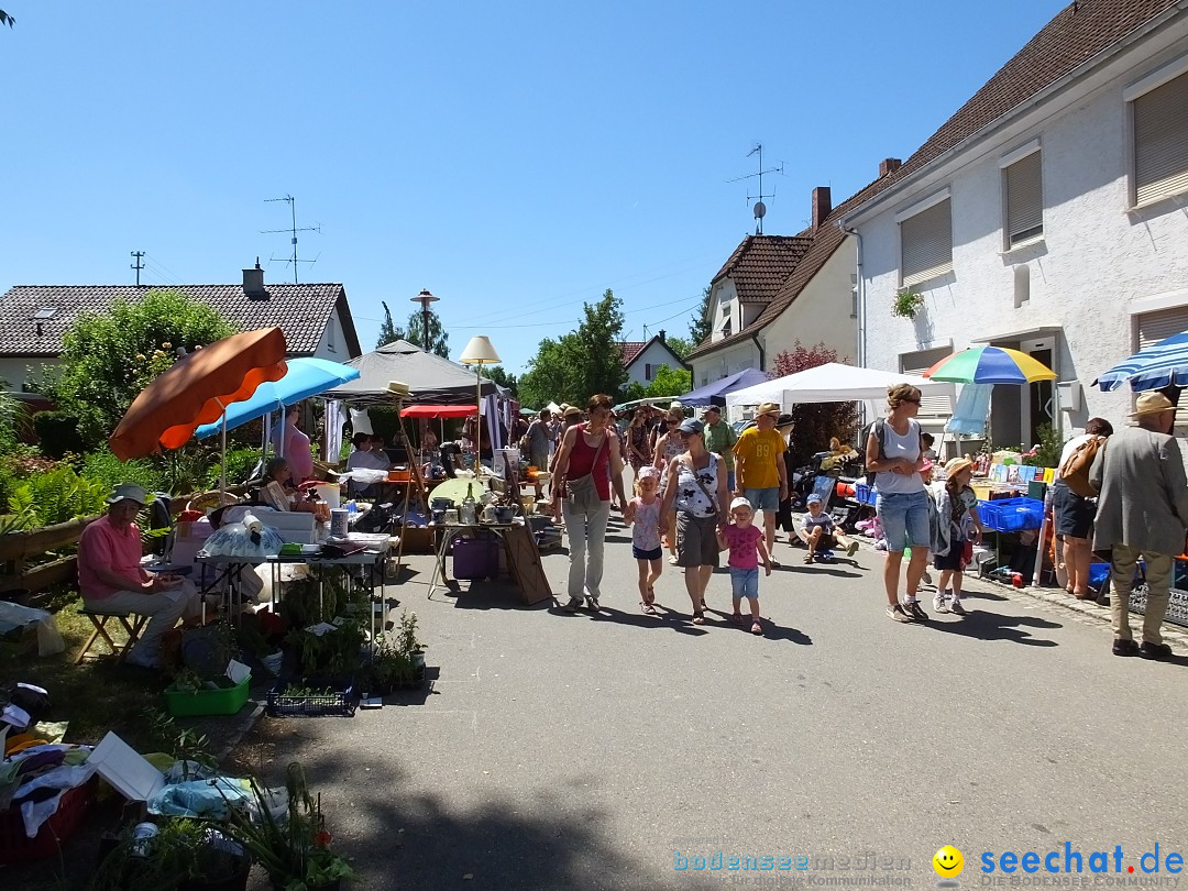 Flohmarkt und Schlossfuerhung: Zwiefaltendorf, 29.06.2019