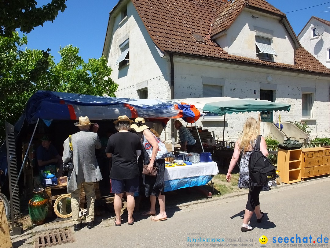 Flohmarkt und Schlossfuerhung: Zwiefaltendorf, 29.06.2019