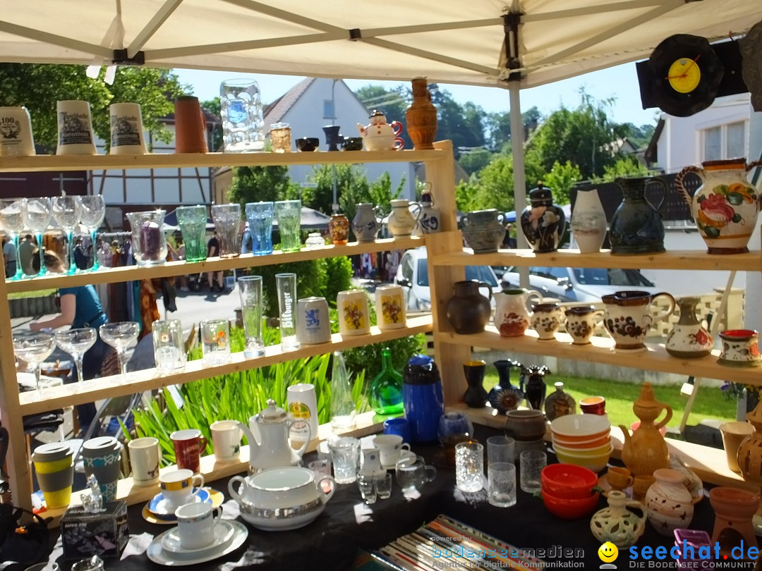 Flohmarkt und Schlossfuerhung: Zwiefaltendorf, 29.06.2019