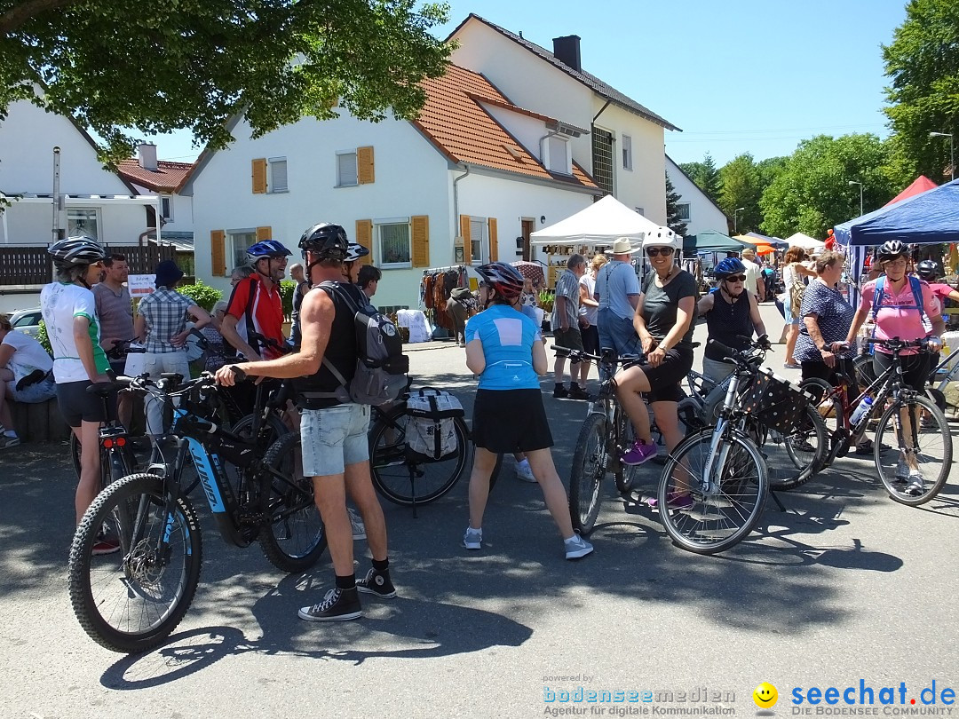 Flohmarkt und Schlossfuerhung: Zwiefaltendorf, 29.06.2019