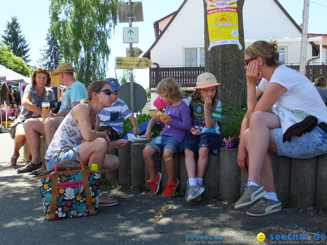 Flohmarkt und Schlossfuerhung: Zwiefaltendorf, 29.06.2019