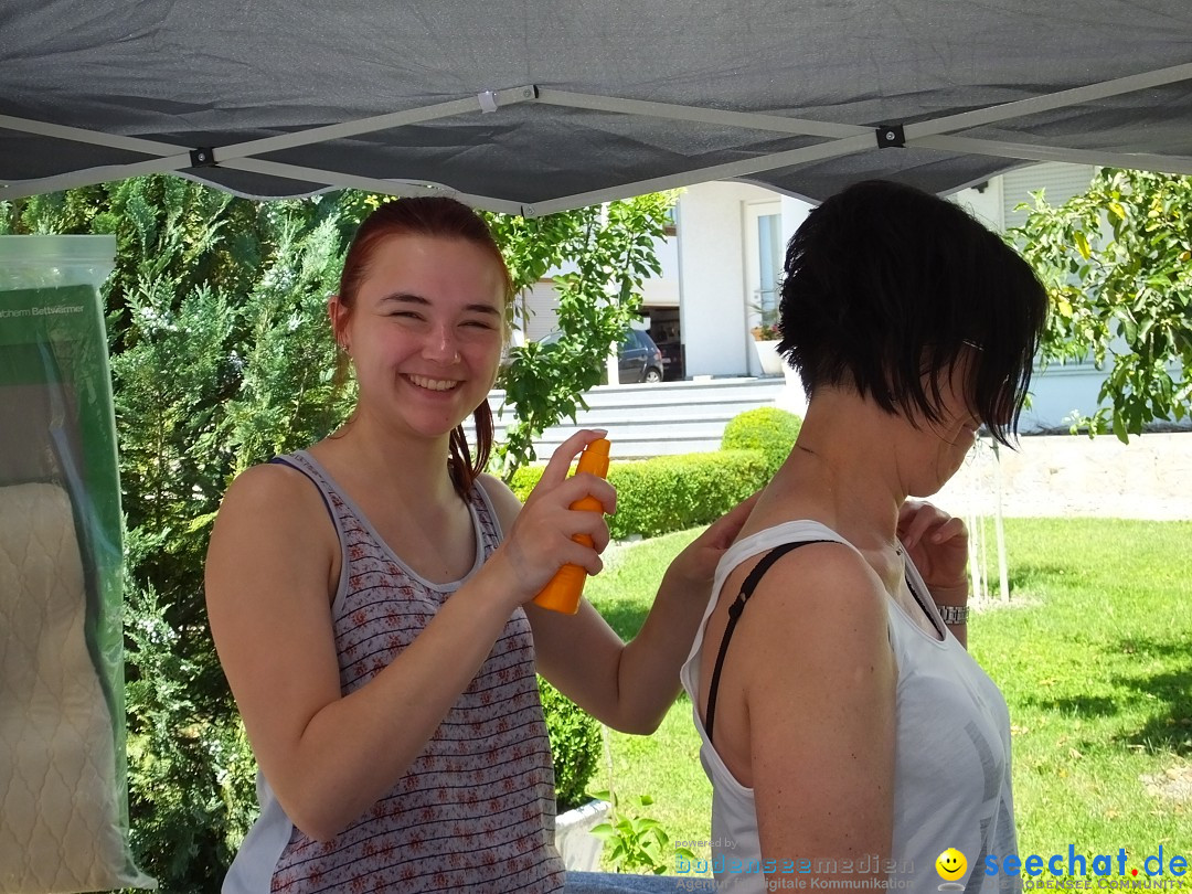 Flohmarkt und Schlossfuerhung: Zwiefaltendorf, 29.06.2019