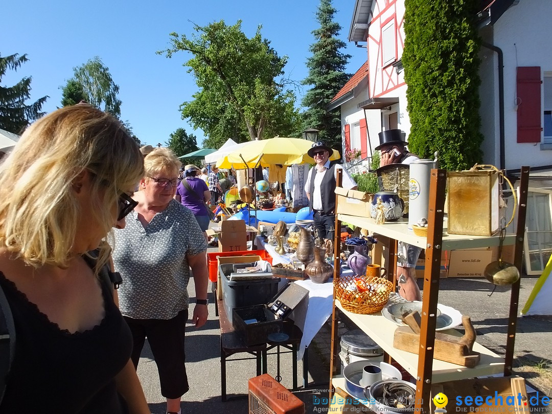 Flohmarkt und Schlossfuerhung: Zwiefaltendorf, 29.06.2019