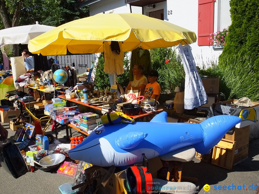 Flohmarkt und Schlossfuerhung: Zwiefaltendorf, 29.06.2019