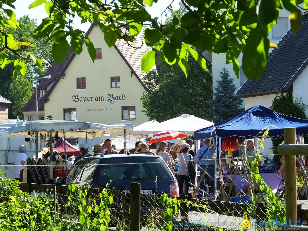 Flohmarkt und Schlossfuerhung: Zwiefaltendorf, 29.06.2019