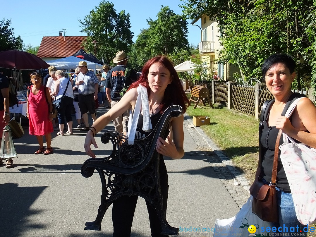 Flohmarkt und Schlossfuerhung: Zwiefaltendorf, 29.06.2019