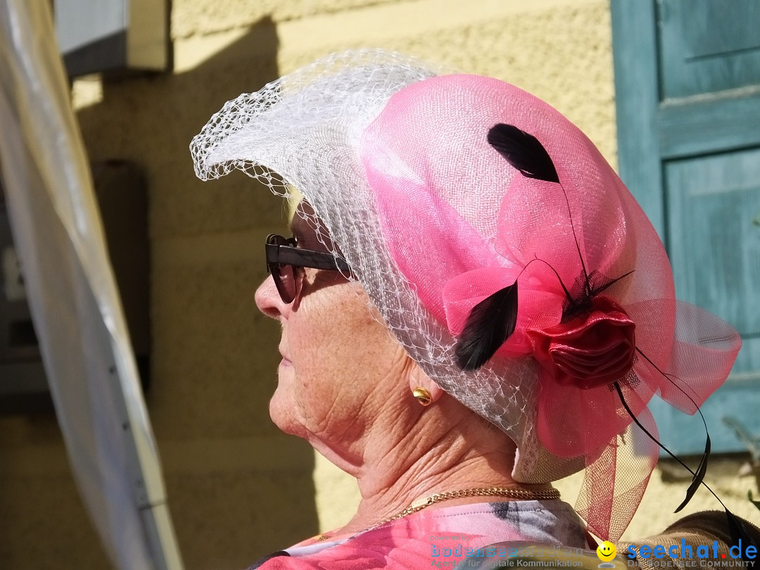 Flohmarkt und Schlossfuerhung: Zwiefaltendorf, 29.06.2019