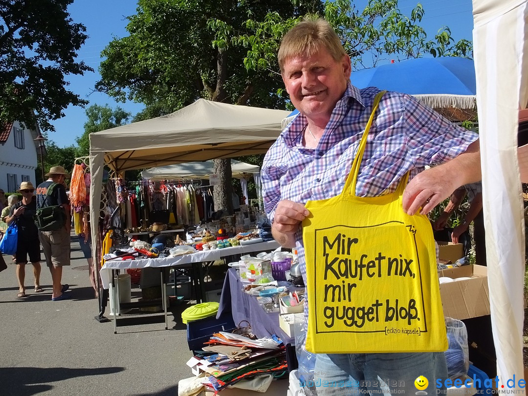 Flohmarkt und Schlossfuerhung: Zwiefaltendorf, 29.06.2019