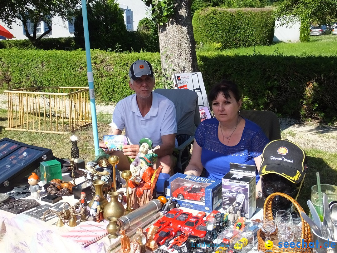 Flohmarkt und Schlossfuerhung: Zwiefaltendorf, 29.06.2019