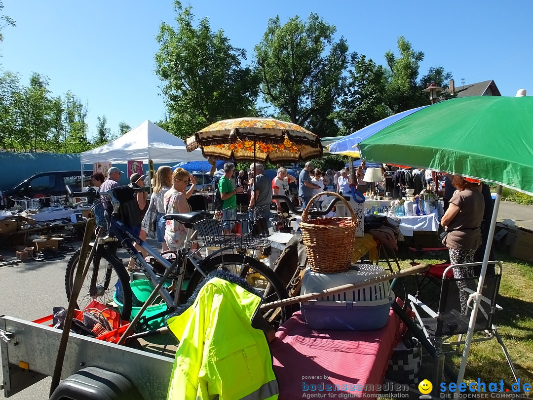 Flohmarkt und Schlossfuerhung: Zwiefaltendorf, 29.06.2019