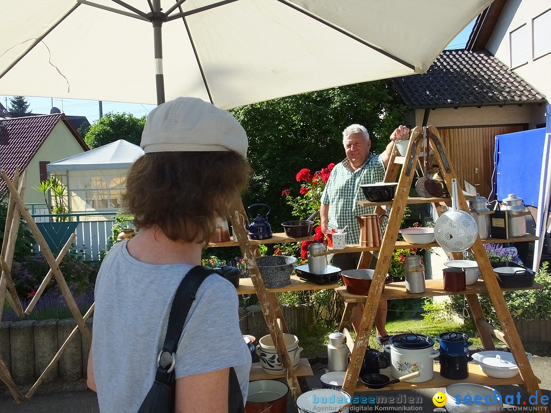 Flohmarkt und Schlossfuerhung: Zwiefaltendorf, 29.06.2019