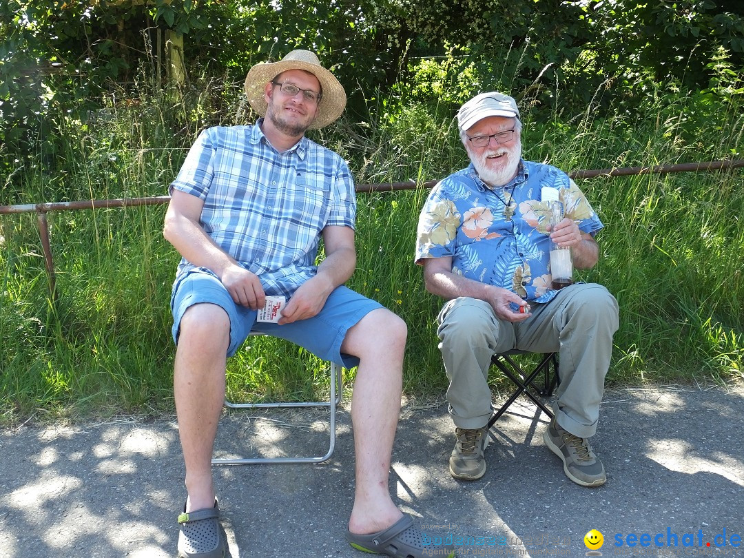 Flohmarkt und Schlossfuerhung: Zwiefaltendorf, 29.06.2019