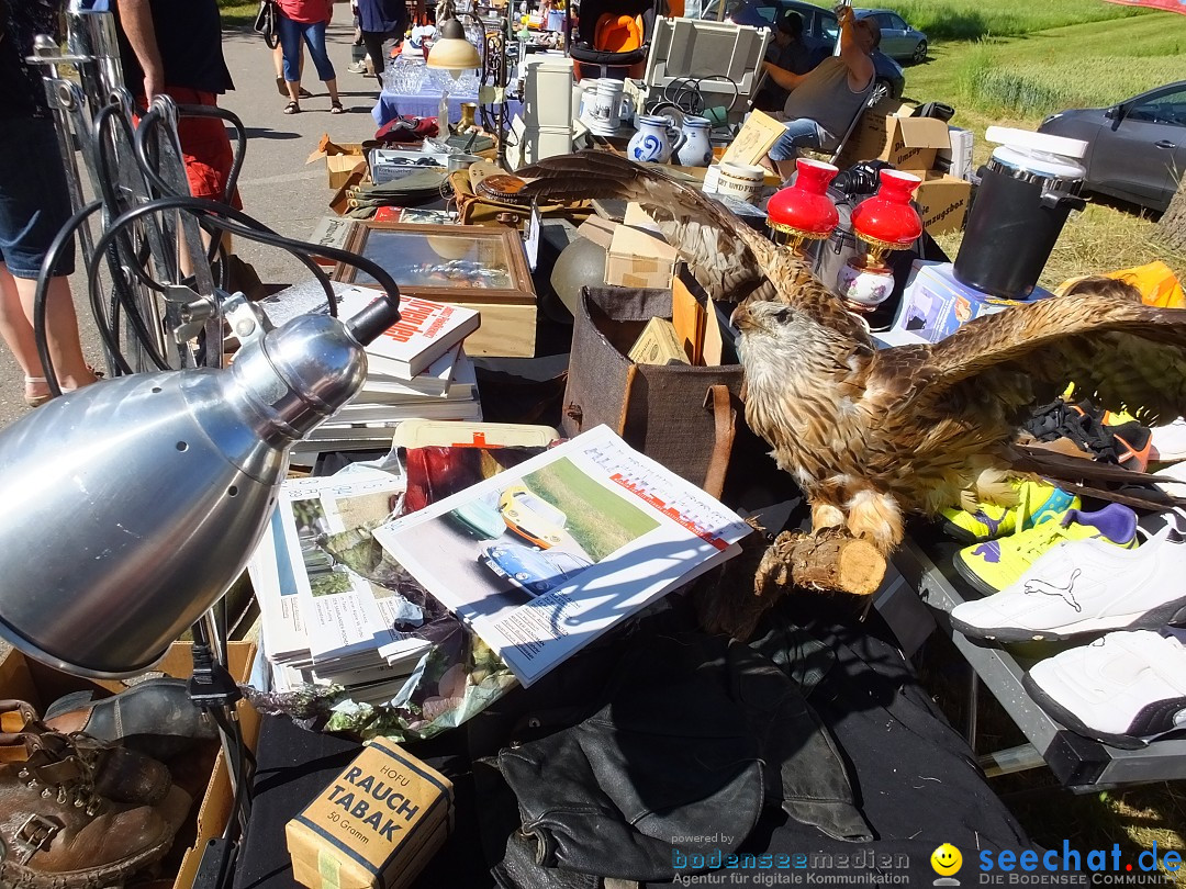 Flohmarkt und Schlossfuerhung: Zwiefaltendorf, 29.06.2019