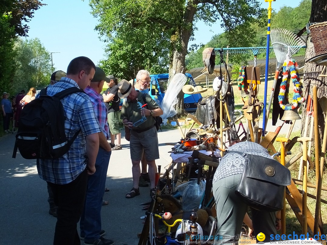 Flohmarkt und Schlossfuerhung: Zwiefaltendorf, 29.06.2019