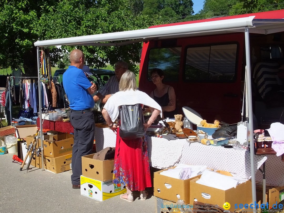 Flohmarkt und Schlossfuerhung: Zwiefaltendorf, 29.06.2019