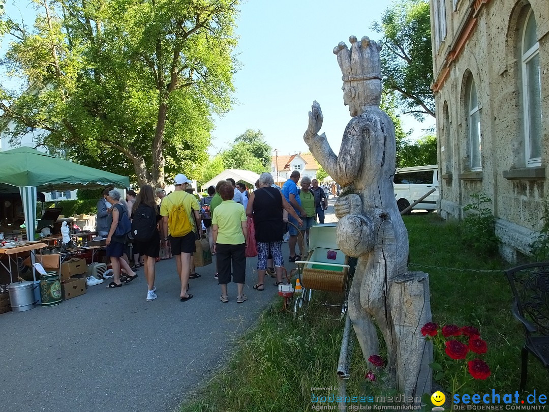 Flohmarkt und Schlossfuerhung: Zwiefaltendorf, 29.06.2019